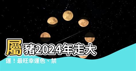 屬豬幸運色2024|2024年屬豬穿什麼顏色？紫色深藍旺全年 